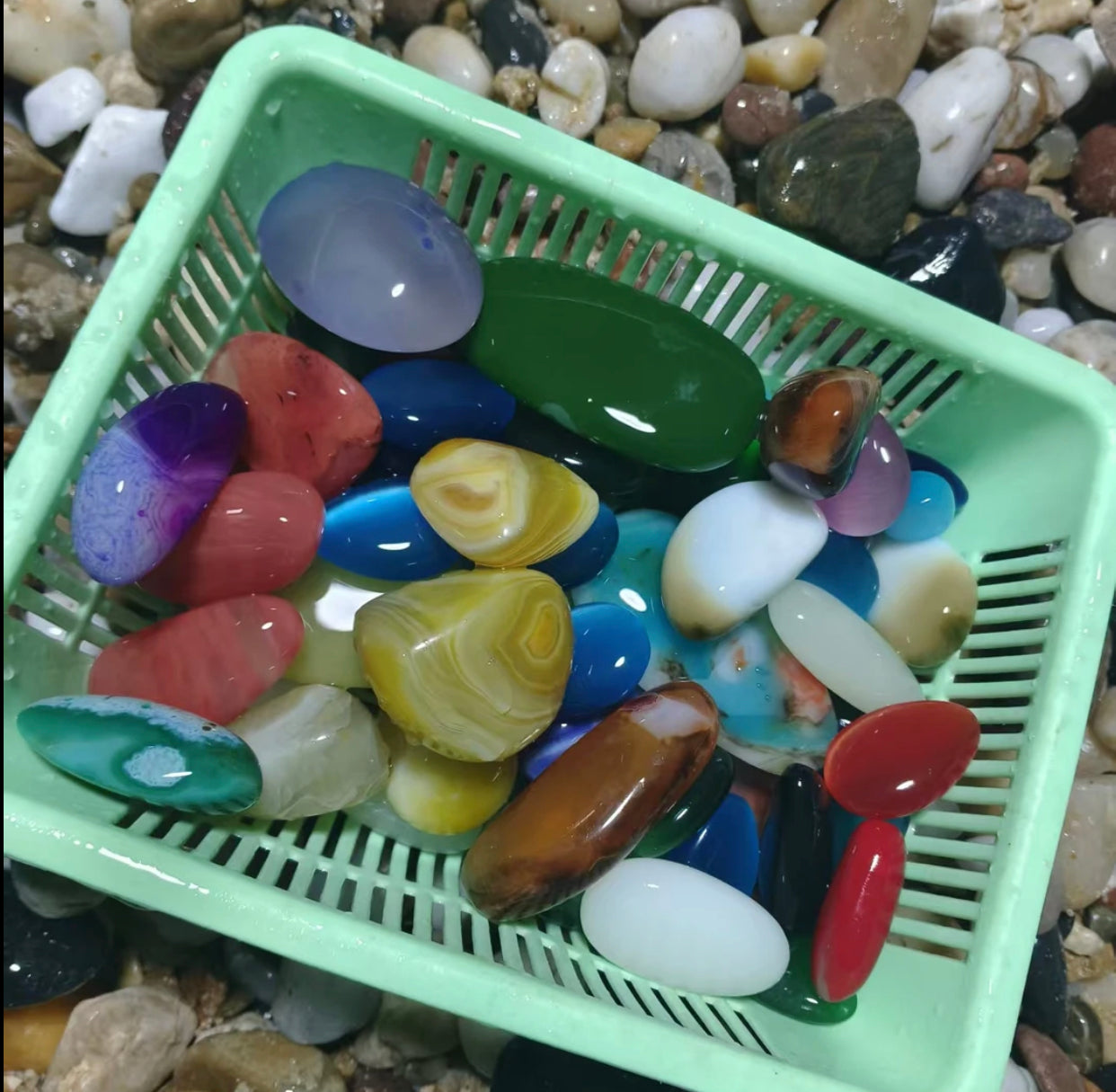 5 Scoop 29.99$(free shipping)
