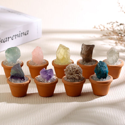 Micro Mineral Raw Crystal Gemstone Collection