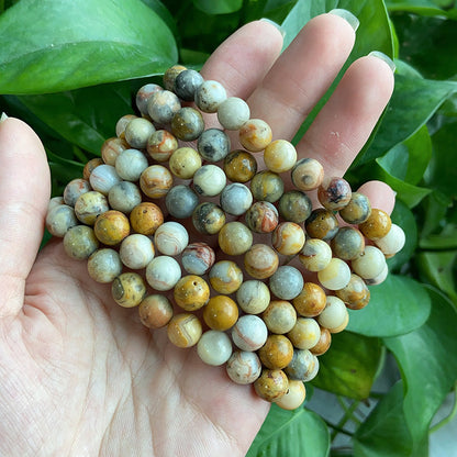 Crazy Lace Agate Bracelet $9.99/3PCS