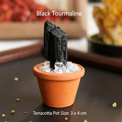 Micro Mineral Raw Crystal Gemstone Collection