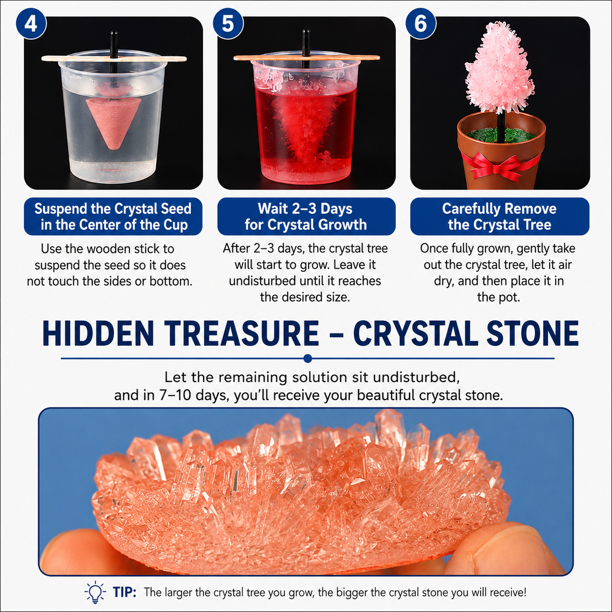 Crystal Growing Kit with 6 Crystals for science experiment, steam learning, birthday gift