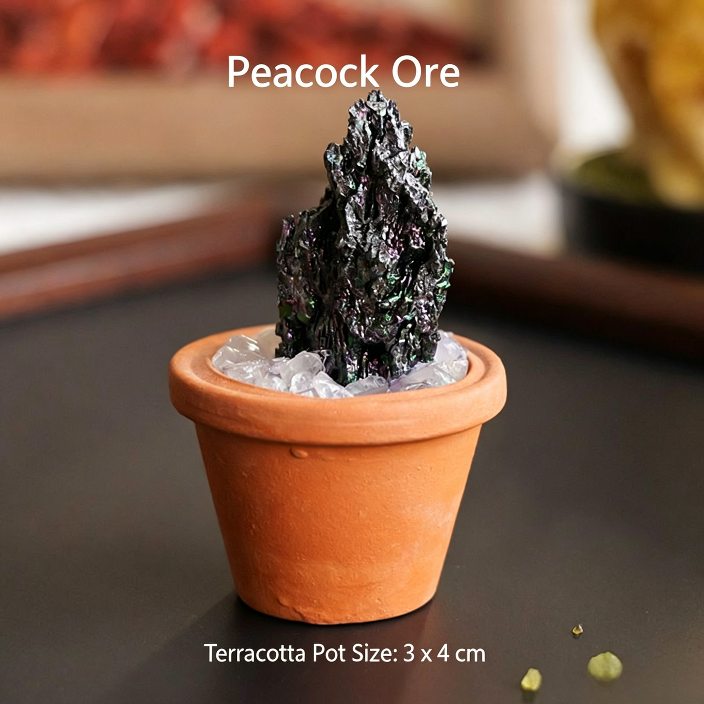 Micro Mineral Raw Crystal Gemstone Collection